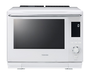東芝(TOSHIBA)石窯ドーム